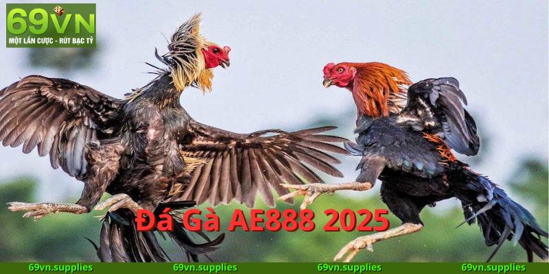 Đá Gà AE888 2025