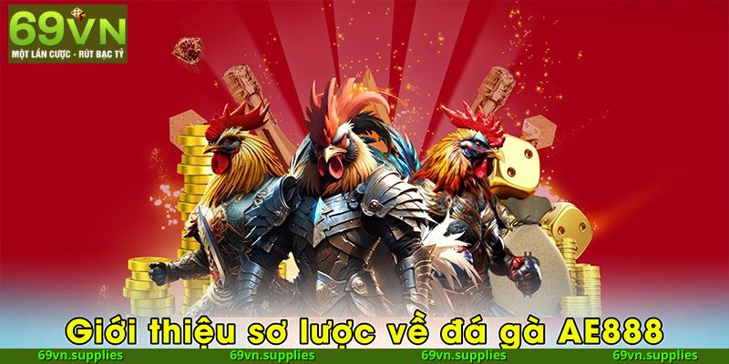 Giới thiệu tổng quan về chuyên mục đá gà AE888
