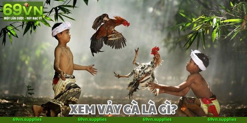 Lý do xem vảy gà là kỹ năng không thể thiếu tại 69VN