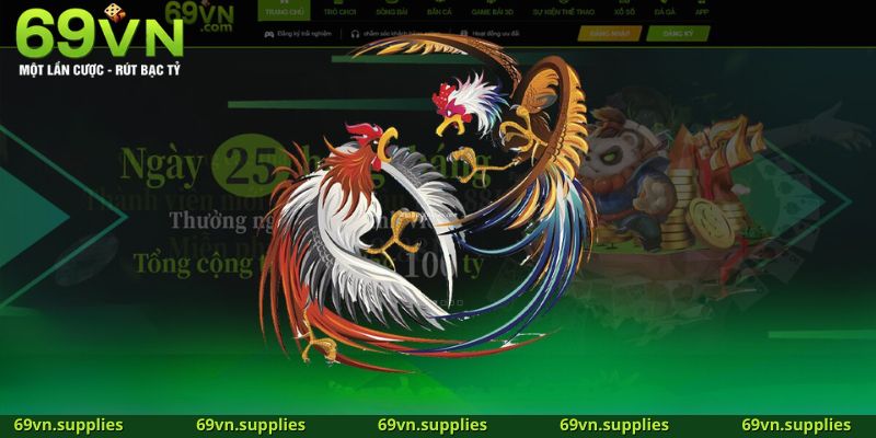 Tổng hợp hình thức đá gà thịnh hành tại 69VN