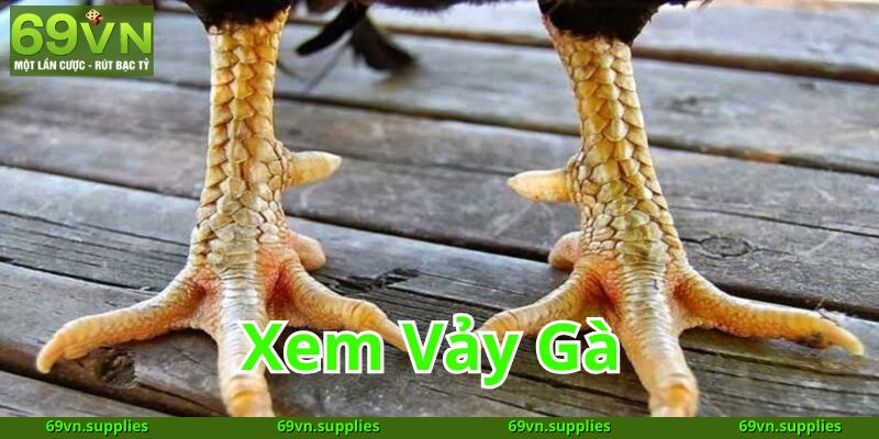 Xem Vảy Gà 2025
